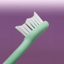 Ordo Sonic Brush Head Mint Green | Sage 2x