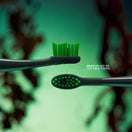 Ordo Sonic Lite Electric Toothbrush - Wicked - Elphaba Thropp